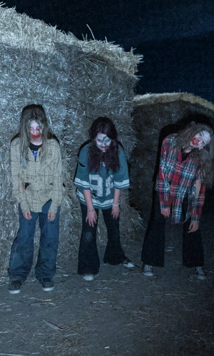 Get Spooked at the Haunted Straw Maze